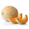 Price: €4.95 - Semi di melone Yubari King Il frutto più costoso del mondo - 