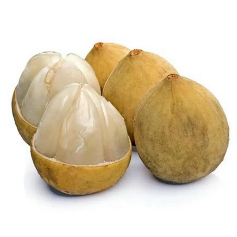 Langsat - Lanzones Seeds (Lansium parasiticum)