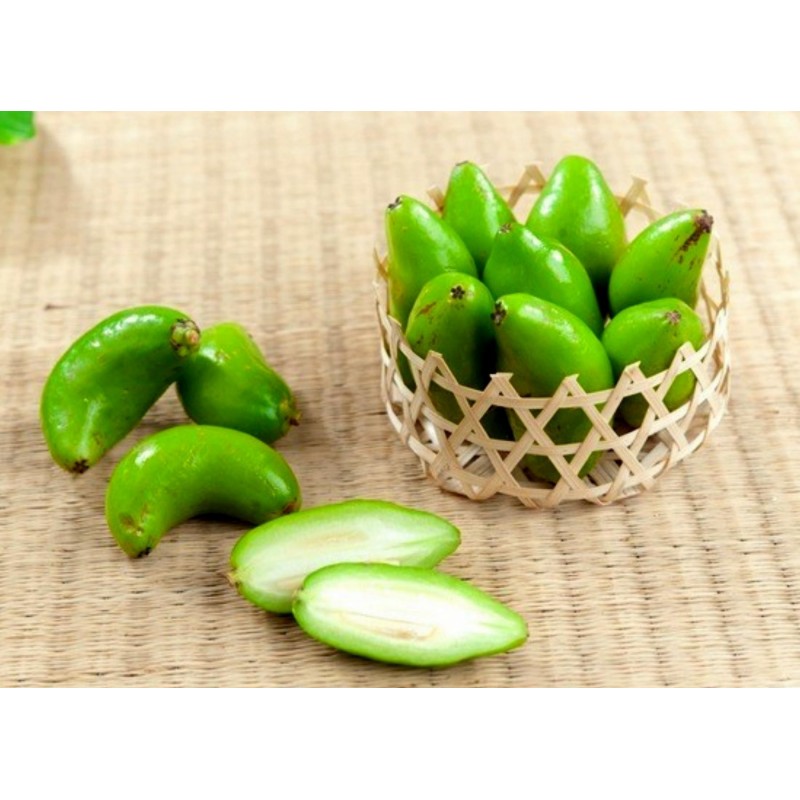 Price: €4.95 - Garcinia schomburgkiana - Madan - Seeds - very rarre - 