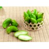 Price: €4.95 - Garcinia schomburgkiana - Madan - Seeds - very rarre - 