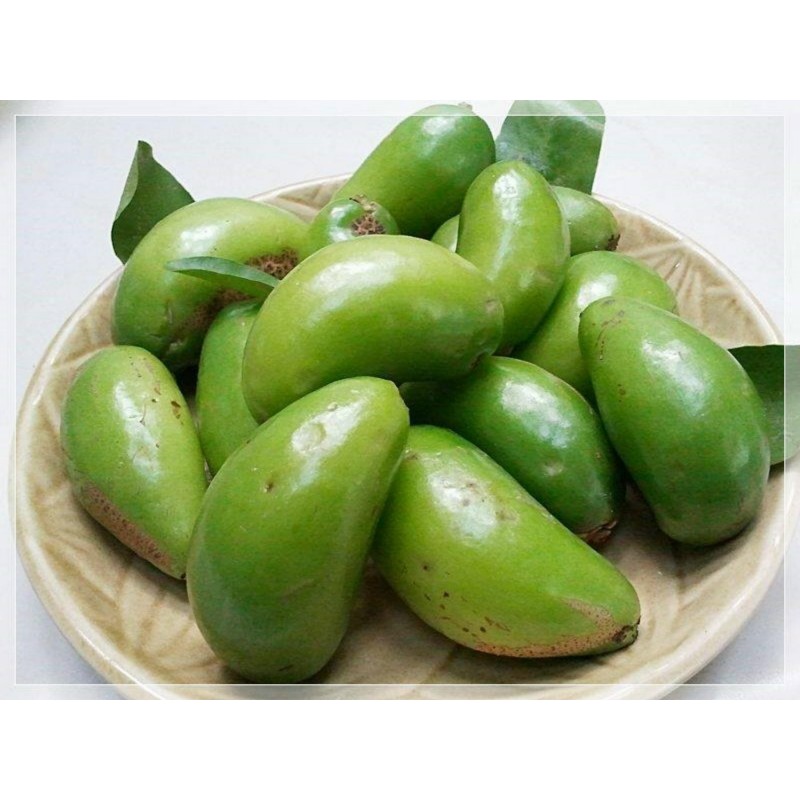 Price: €4.95 - Semillas de Madan - garcinia schomburgkiana- muy raras - 