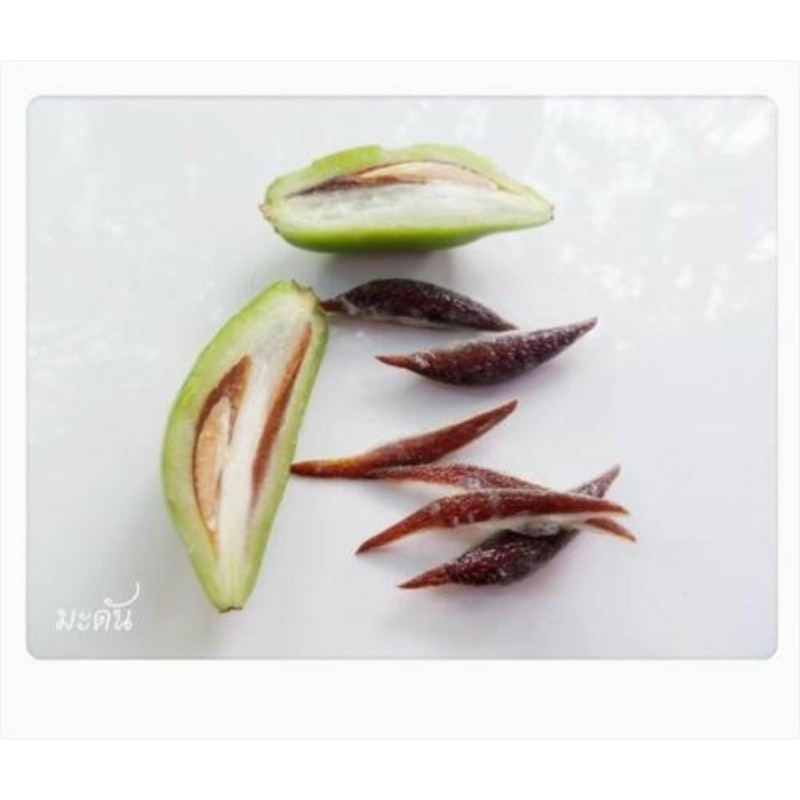 Price: €4.95 - Semillas de Madan - garcinia schomburgkiana- muy raras - 
