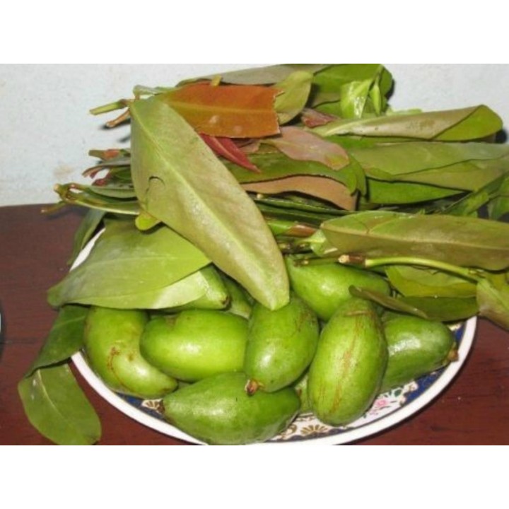 Garcinia schomburgkiana - Madan - Seeds - very rarre - 4.455