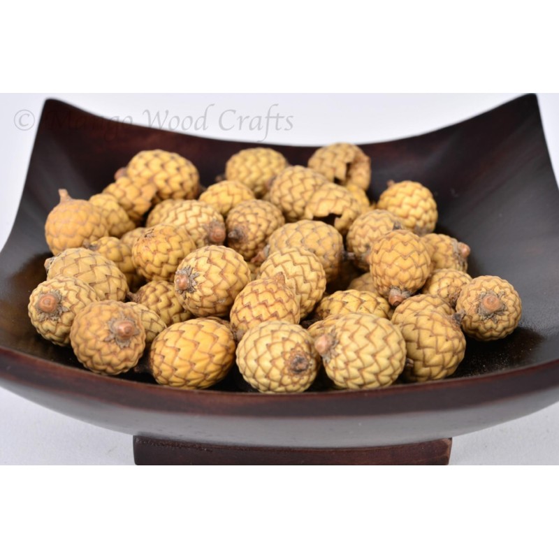 Σπόροι Rattan (Calamus manan)