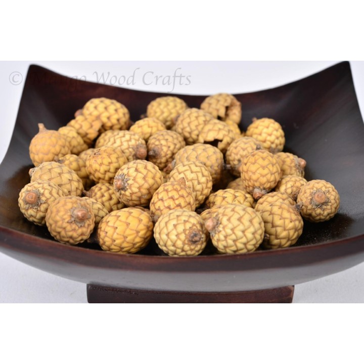 Rattan Seeds (Calamus manan) - 4.05