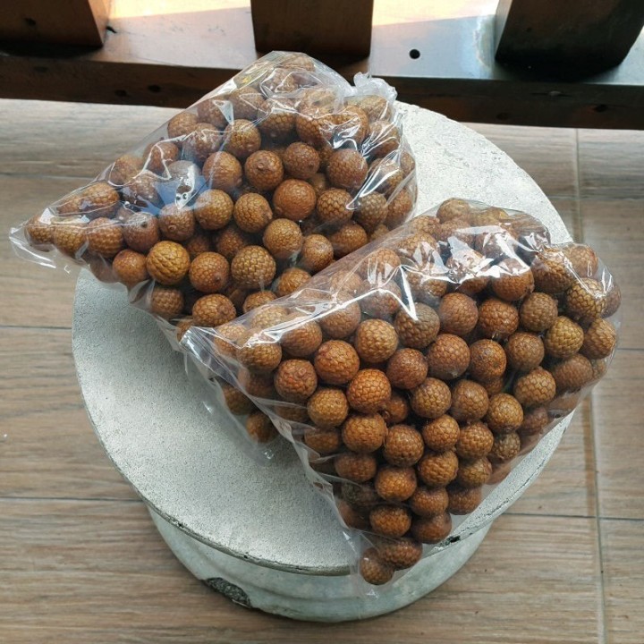 Rattan Seeds (Calamus manan) - 4.05