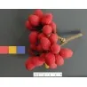 Σπόροι του Korlan (Nephelium hypoleucum)