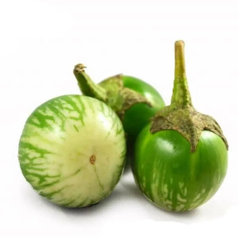Semillas de berenjena verde redonda tailandesa