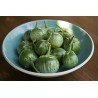 Price: €1.95 - Semillas de berenjena verde redonda tailandesa - Seeds Gallery