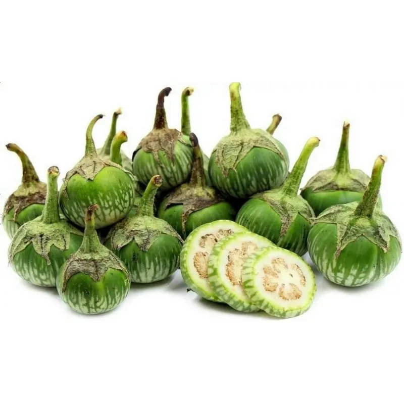 Thailändska runda gröna auberginefrön