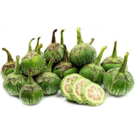 Thailändska runda gröna auberginefrön
