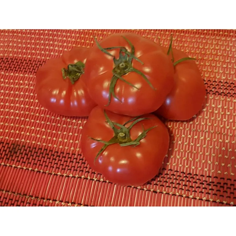 Semi di pomodoro Marquise rosa e nero