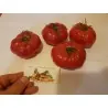 Pink and Black Marquise Tomato Seeds