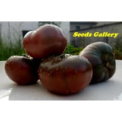 Pink and Black Marquise Tomato Seeds