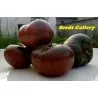 Graines De Tomate Marquise Roses Et Noires