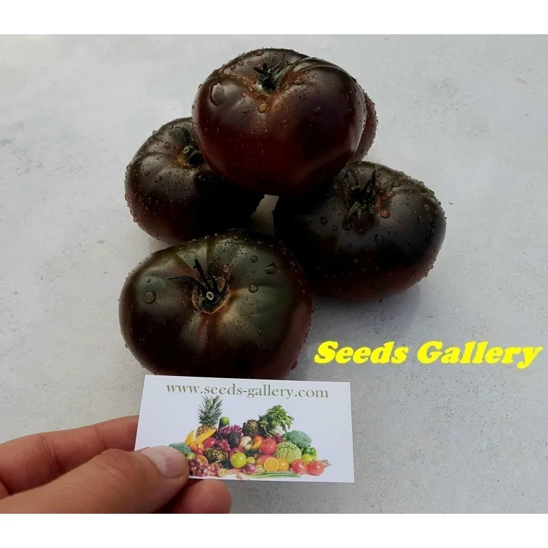 Graines De Tomate Marquise Roses Et Noires