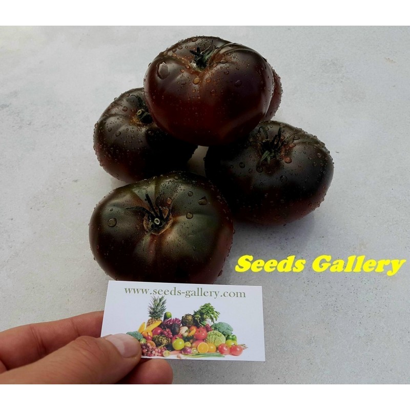 Pink and Black Marquise Tomato Seeds | 2.15 €