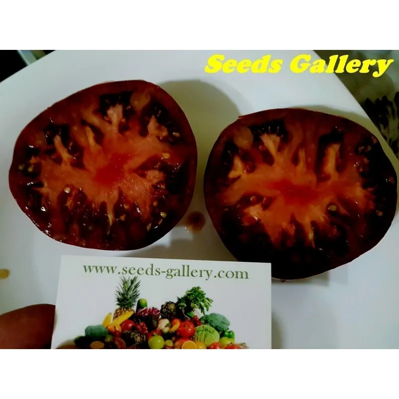 Graines De Tomate Marquise Roses Et Noires