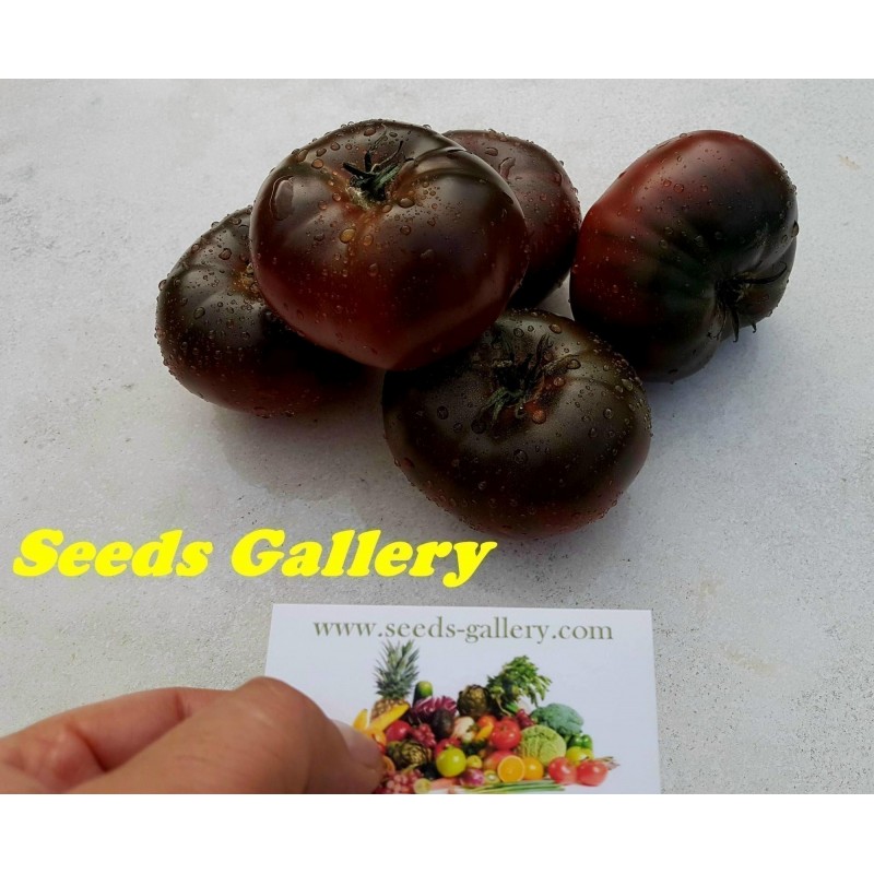 Pink and Black Marquise Tomato Seeds | 2.15 €