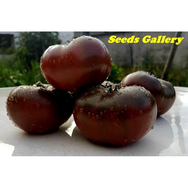 Sementes de tomate Marquise rosa e preta