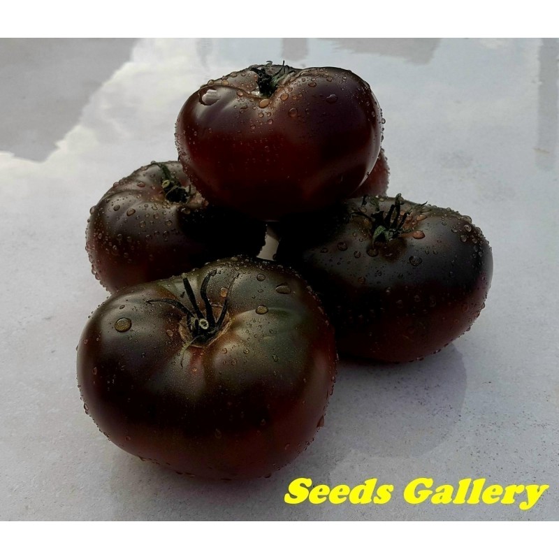 Sementes de tomate Marquise rosa e preta