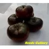 Semi di pomodoro Marquise rosa e nero