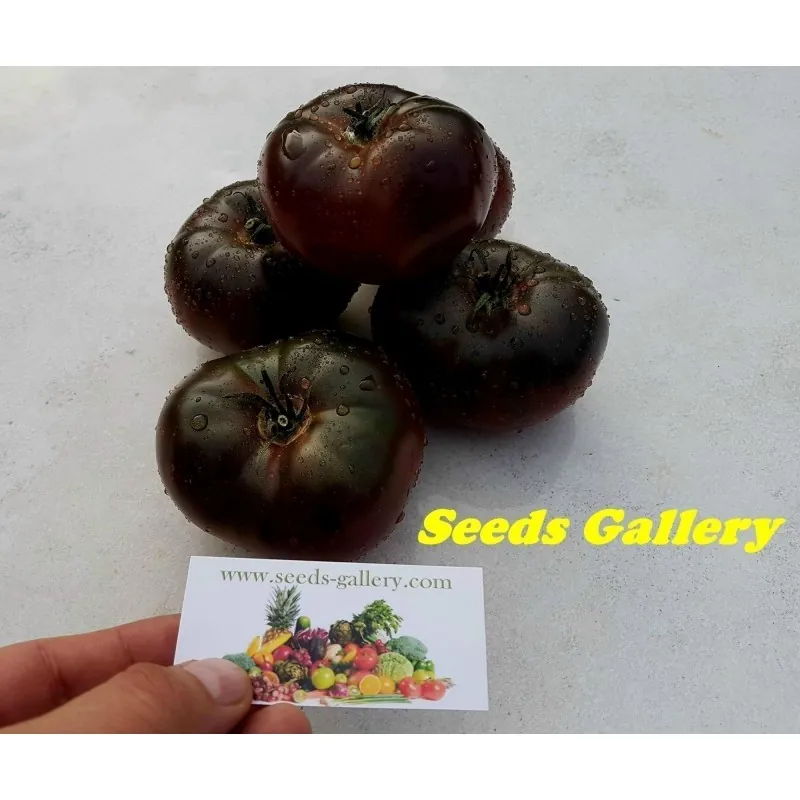 Graines De Tomate Marquise Roses Et Noires