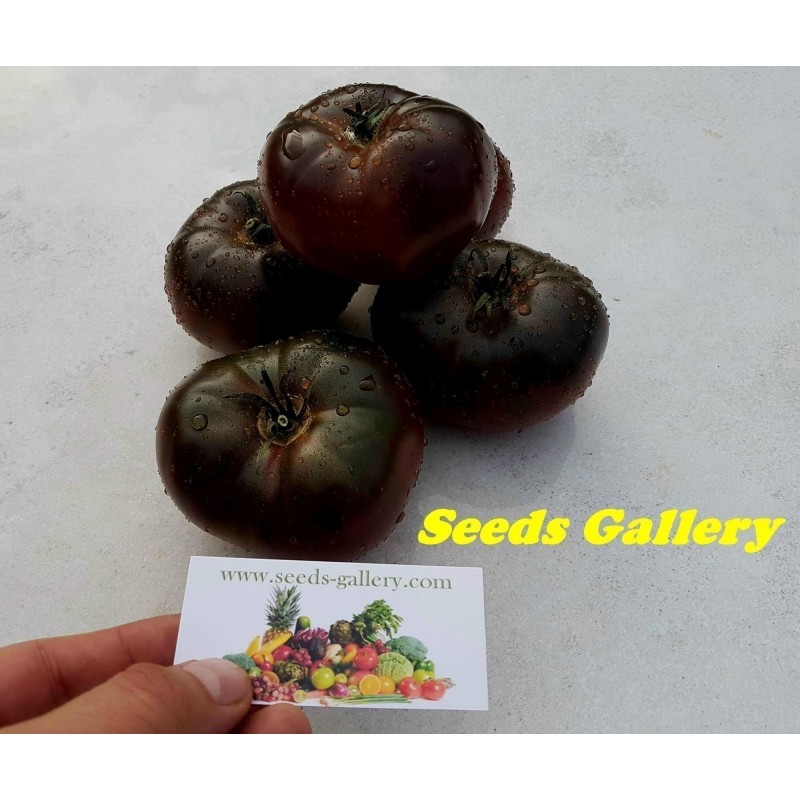 Pink and Black Marquise Tomato Seeds | 2.15 €