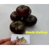 Graines De Tomate Marquise Roses Et Noires