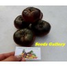 Pink and Black Marquise Tomato Seeds | 2.15 €