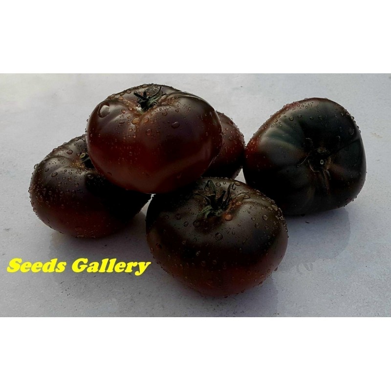 Pink and Black Marquise Tomato Seeds | 2.15 €