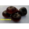 Pink and Black Marquise Tomato Seeds | 2.15 €