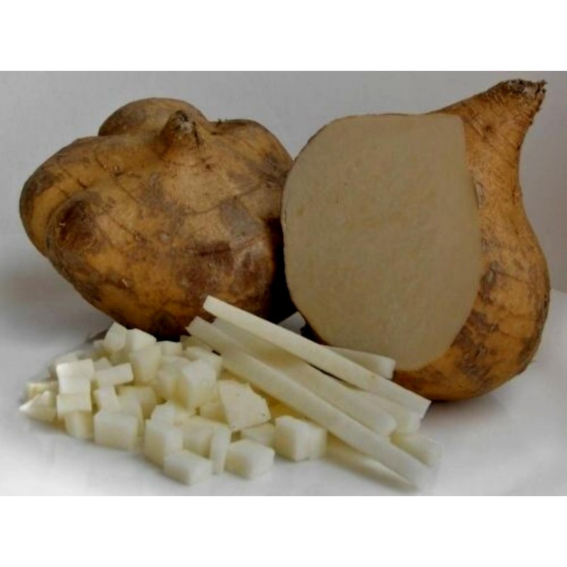 Price: €3.25 - Meksicki krompir, Jicama Seme (Pachyrhizus erosus) - 