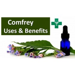 Sementes de Confrei (Symphytum officinale)