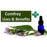Price: €2.45 - Σύμφυτο σποροι (Symphytum officinale) - Seeds Gallery