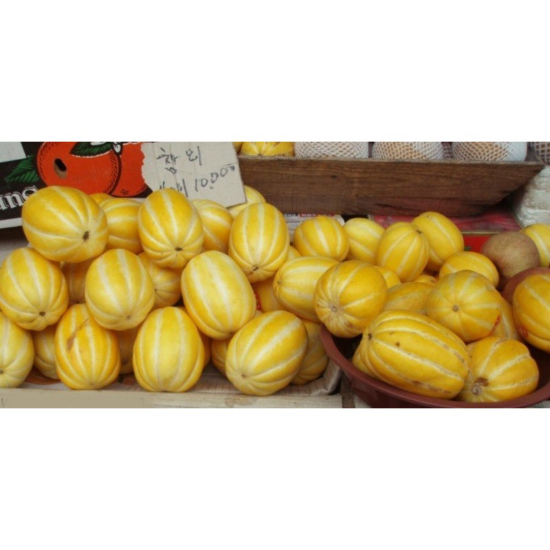 Korejska Dinja Seme, Sun Jewel, Chamoe