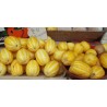 Semillas De Melón Coreano, Sun Jewel, Chamoe