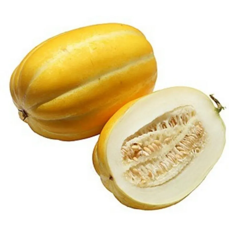 Sementes de Melão Coreanas, Sun Jewel, Chamoe
