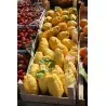 Jätte korsikanska citron frön - 4 kg frukt