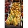 Giant Corsican Citron Seeds - 4 kg fruit | β¬Β 3,70