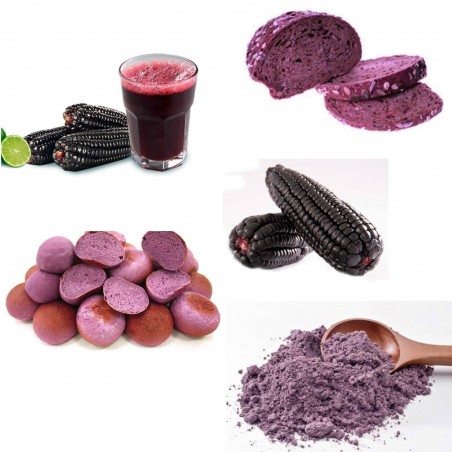Sementes de Milho Roxo Peruano Maiz Morado "Kculli" | 2,25 €