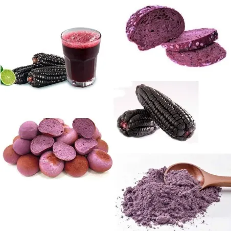 Semi di mais viola Peruviano Morado "Kculli"
