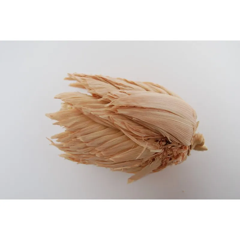 POD Kukuruz Seme (Zea mays, var. tunicata)