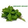 Graines de Basilic (Ocimum Basilicum)
