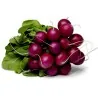 Semillas de Rábano Púrpura Purple Plum