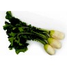 Price: €2.45 - Semillas de Rábano Coreano Yeol Moo - Seeds Gallery