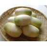 Price: €2.45 - Semillas de Rábano Coreano Yeol Moo - Seeds Gallery