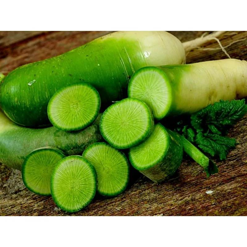 Chinese Green Luobo Radish Seeds