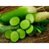 Chinese Green Luobo Radish Seeds