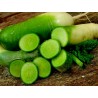 Price: €2.45 - Kinesisk Grön Rädisa Luobo frö - 